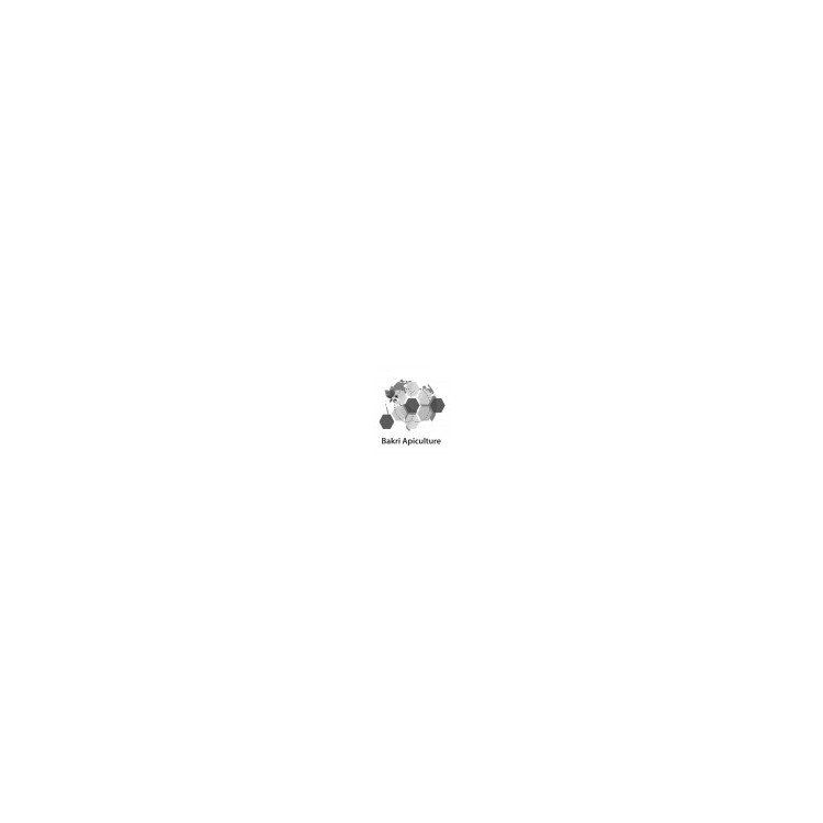 [BKR-126] Ruche Longstroth vide peinturé